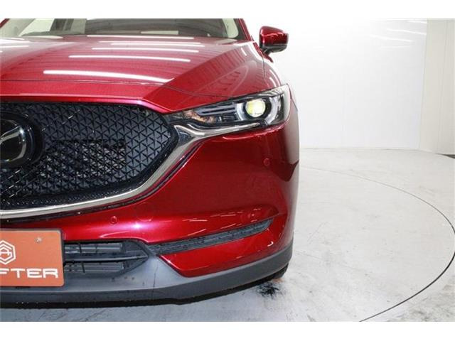 ���Ǝҗl�ւ̔̔��͂��f�肳���Ă��������܂��B �Ԍ������ԗ��̏ꍇ�́A�Ԍ����擾�������x�������z�ŕ\�����Ă���܂��B