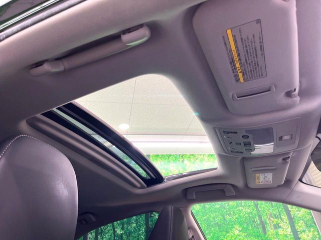 �y�T�����[�t�z�J���������Ղ�̊󏭑����A�T�����[�t����������Ă��܂�!�ԓ��ɖ�����������ꂽ��i�F���y���ވȊO�ɂ��A�ԓ��̋�C���ȒP�Ɋ��C�ł��ĉ��K�ł�!