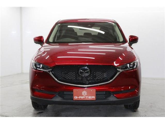 ���Ǝҗl�ւ̔̔��͂��f�肳���Ă��������܂��B �Ԍ������ԗ��̏ꍇ�́A�Ԍ����擾�������x�������z�ŕ\�����Ă���܂��B