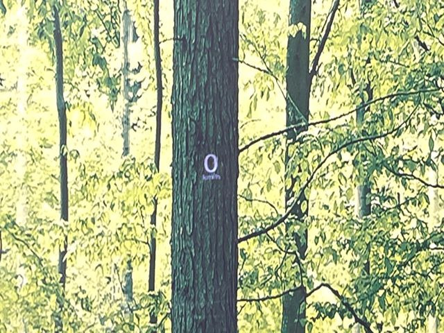 �y�w�b�h�A�b�v�f�B�X�v���C�z���݂̑��x�⑖�s�����f�W�^���\���ŉ^�]�ȑO���̃K���X�ɓ��e!�^�]���A�ڐ������炳���K�v�ȏ����m�F�ł���̂łƂ��Ă��֗��ň��S!