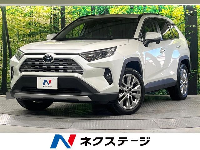 RAV4(トヨタ) 2.0 G Zパッケージ 4WD 中古車画像