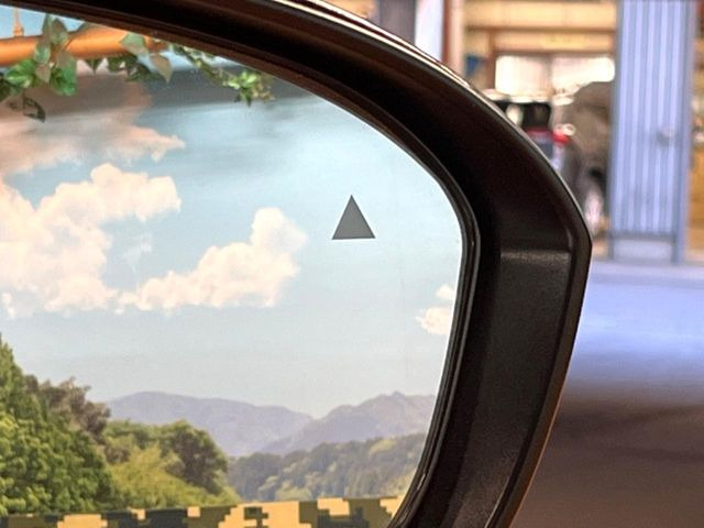 �y�u���C���h�X�|�b�g���[�j���O�z���s���A�h�A�~���[�̎��p�ɂȂ�₷���ӏ��Ɍ㑱�Ԃ��ڋ߂���ƃT�C�h�~���[�t�߂Ɍx����\���A�h���C�o�[�ɒ��ӊ��N�����Ă���܂��B