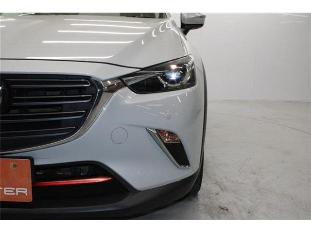 ���Ǝҗl�ւ̔̔��͂��f�肳���Ă��������܂��B �Ԍ������ԗ��̏ꍇ�́A�Ԍ����擾�������x�������z�ŕ\�����Ă���܂��B