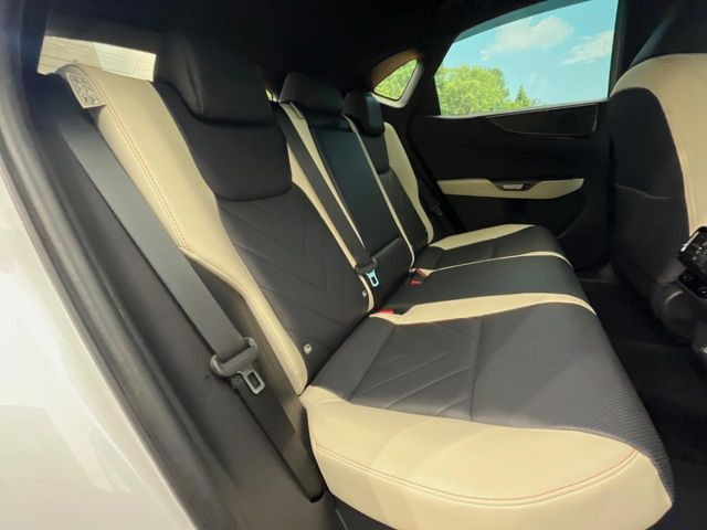 �㕔���Ȃ��C�ɂȂ�悤�ȃL�Y�E�����ւ��蓙�A�傫�ȃ_���[�W�͂Ȃ��A�ǍD�ȏ�Ԃł��B