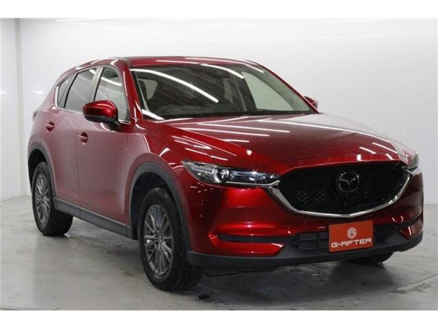 ���Ǝҗl�ւ̔̔��͂��f�肳���Ă��������܂��B �Ԍ������ԗ��̏ꍇ�́A�Ԍ����擾�������x�������z�ŕ\�����Ă���܂��B