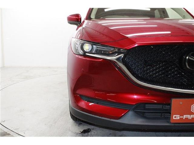 ���Ǝҗl�ւ̔̔��͂��f�肳���Ă��������܂��B �Ԍ������ԗ��̏ꍇ�́A�Ԍ����擾�������x�������z�ŕ\�����Ă���܂��B