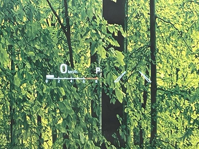 �y�J���[�w�b�h�A�b�v�f�B�X�v���C�z���݂̑��x�⑖�s�����f�W�^���\���ŉ^�]�ȑO���̃K���X�ɓ��e!�J���[�t���Ŏ��F���������A�^�]���ڐ������炳���K�v�ȏ����m�F�ł���̂łƂ��Ă��֗��ň��S!