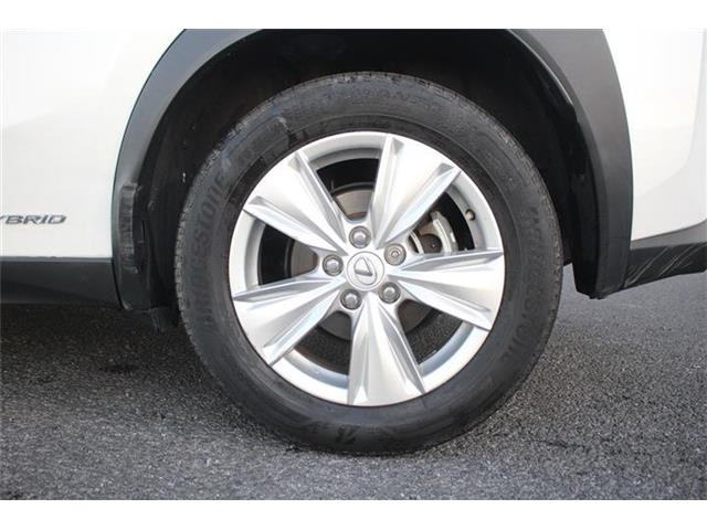 ���Ǝҗl�ւ̔̔��͂��f�肳���Ă��������܂��B �Ԍ������ԗ��̏ꍇ�́A�Ԍ����擾�������x�������z�ŕ\�����Ă���܂��B