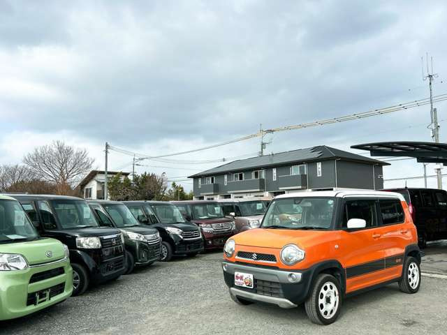 �y39.8���X�J�[�Y�̎��q���������������A���ɂ��肪�Ƃ��������܂��B���������S�s���c1186-7TEL:0942-73-6060�܂ł��⍇����������