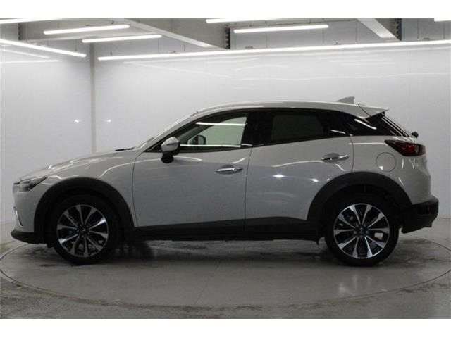 ���Ǝҗl�ւ̔̔��͂��f�肳���Ă��������܂��B �Ԍ������ԗ��̏ꍇ�́A�Ԍ����擾�������x�������z�ŕ\�����Ă���܂��B