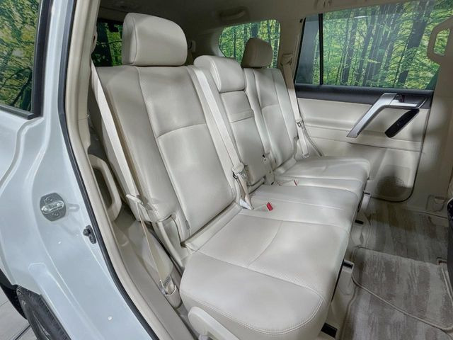 �㕔���Ȃ��C�ɂȂ�悤�ȃL�Y�E�����ւ��蓙�A�傫�ȃ_���[�W�͂Ȃ��A�ǍD�ȏ�Ԃł��B