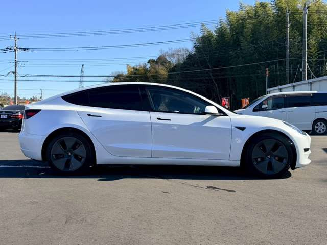 ���X�݌ɂ͊O���A�����N���[�j���O��ɓW�����A�����Ď��̏C�����̗L���A���[�^�[��������̗L������O�ҋ@�ւɂ�錟����S����{���Ă���܂��B�Ԍ��A�����A����h�������ЂőΉ��ł��܂��̂ł����S���������B