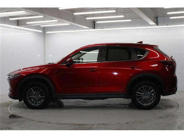 ���Ǝҗl�ւ̔̔��͂��f�肳���Ă��������܂��B �Ԍ������ԗ��̏ꍇ�́A�Ԍ����擾�������x�������z�ŕ\�����Ă���܂��B