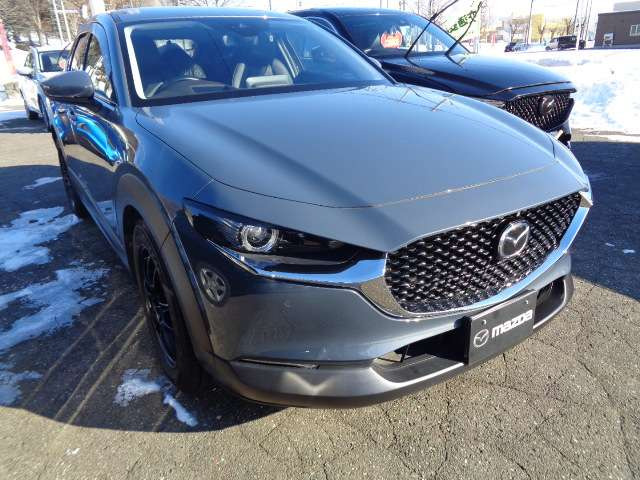 CX-302.0 20S Lパッケージ 4WD