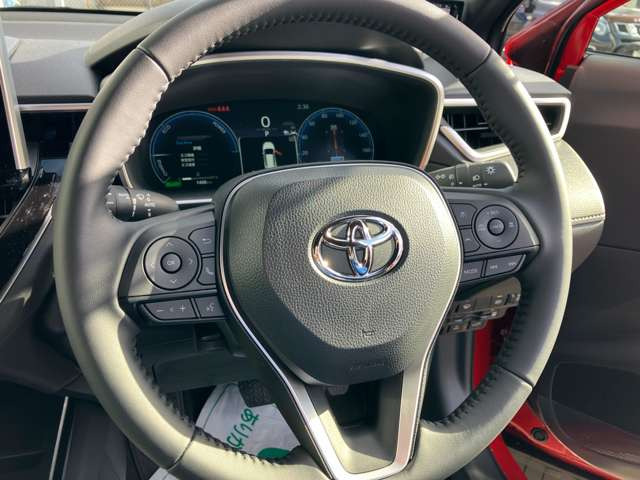 ���{�v���X�e�A�����O�������Ƃ�Ǝ�ɓ���ޖ{�v�Ȃ�ł͂̊��G!�m���ȑ��슴!