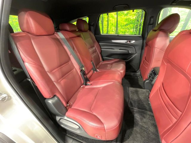 �㕔���Ȃ��C�ɂȂ�悤�ȃL�Y�E�����ւ��蓙�A�傫�ȃ_���[�W�͂Ȃ��A�ǍD�ȏ�Ԃł��B