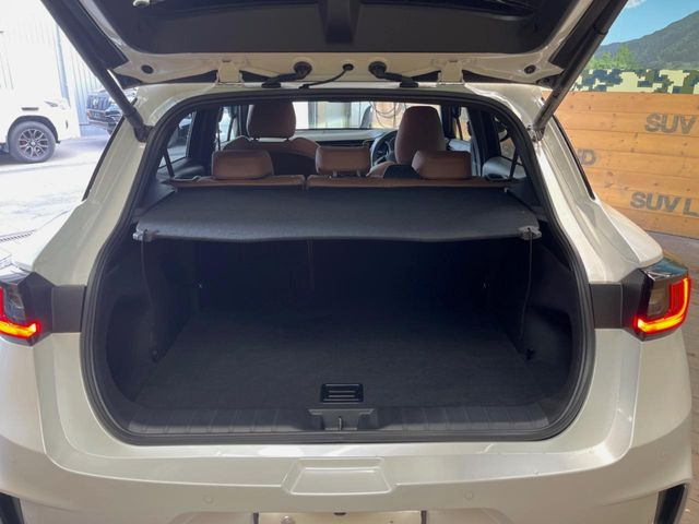 ���i�̂���������ʋ΁A���}���ɏ\���ȉ׎��X�y�[�X���m�ۂ��Ă���܂��B�Z�J���h�V�[�g��|���ƁA�傫�ȉו��̐ύڂ��\�ł���