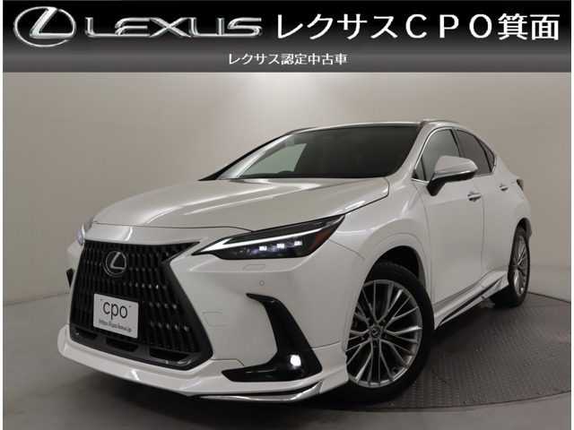 NX250 バージョンL