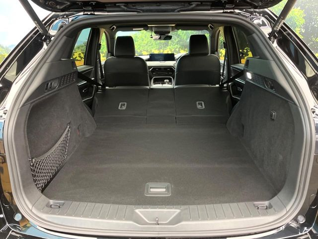 ���i�̂���������ʋ΁A���}���ɏ\���ȉ׎��X�y�[�X���m�ۂ��Ă���܂��B�Z�J���h�V�[�g��|���ƁA�傫�ȉו��̐ύڂ��\�ł���