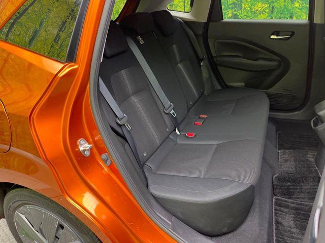 �㕔���Ȃ��C�ɂȂ�悤�ȃL�Y�E�����ւ��蓙�A�傫�ȃ_���[�W�͂Ȃ��A�ǍD�ȏ�Ԃł��B