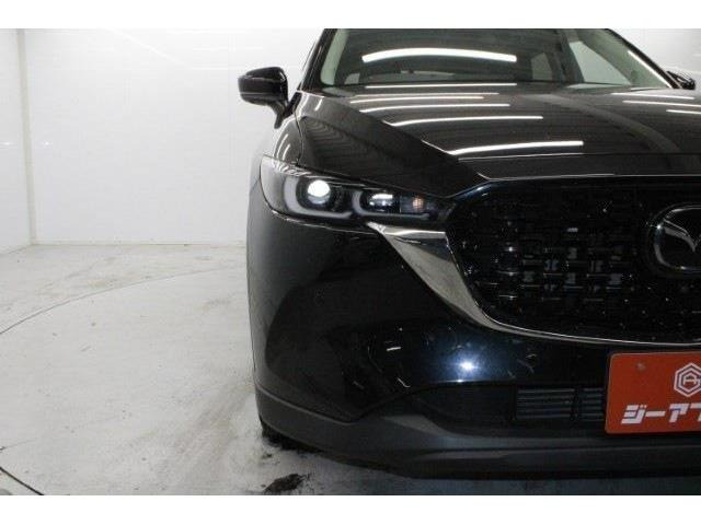 ���Ǝҗl�ւ̔̔��͂��f�肳���Ă��������܂��B �Ԍ������ԗ��̏ꍇ�́A�Ԍ����擾�������x�������z�ŕ\�����Ă���܂��B