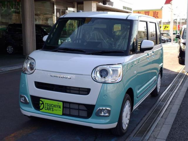 ムーヴキャンバスストライプス G