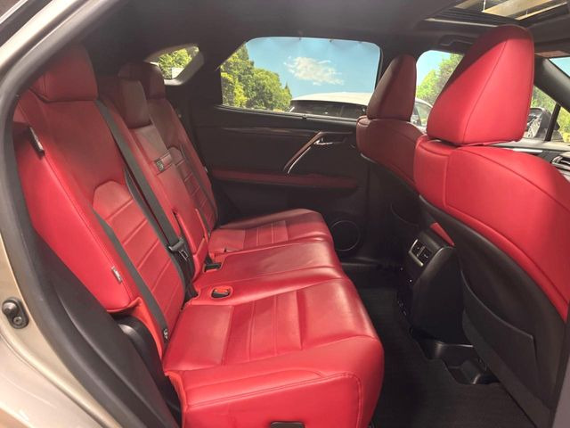 �㕔���Ȃ��C�ɂȂ�悤�ȃL�Y�E�����ւ��蓙�A�傫�ȃ_���[�W�͂Ȃ��A�ǍD�ȏ�Ԃł��B