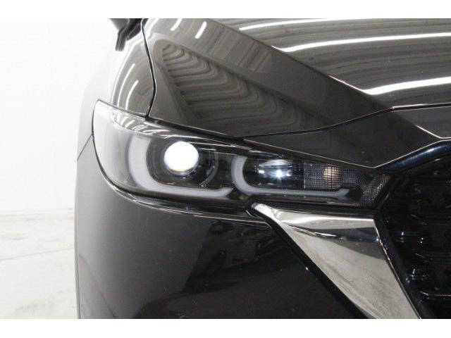 ���Ǝҗl�ւ̔̔��͂��f�肳���Ă��������܂��B �Ԍ������ԗ��̏ꍇ�́A�Ԍ����擾�������x�������z�ŕ\�����Ă���܂��B