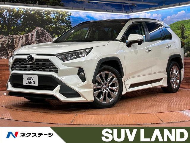 RAV4(トヨタ) 2.0 G Zパッケージ 4WD 中古車画像