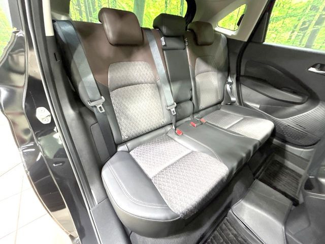 �㕔���Ȃ��C�ɂȂ�悤�ȃL�Y�E�����ւ��蓙�A�傫�ȃ_���[�W�͂Ȃ��A�ǍD�ȏ�Ԃł��B