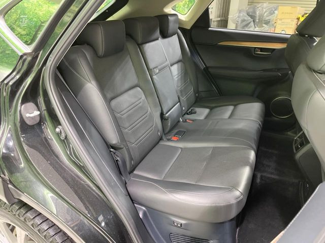 �㕔���Ȃ��C�ɂȂ�悤�ȃL�Y�E�����ւ��蓙�A�傫�ȃ_���[�W�͂Ȃ��A�ǍD�ȏ�Ԃł��B