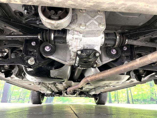 ����肪���ꂢ�Ȃ����ɁA�h�K���H�̎{�H���I�X�X���B�~��n��͂������A���ݕ��ɂ��Z���̕���A��Ń}�����E�E�B���^�[�X�|�[�c���������ɂ��D�]���������Ă���܂��B