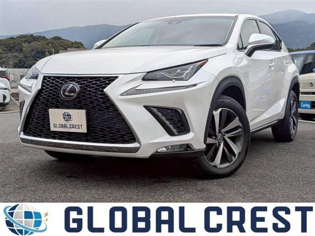 NX300 Iパッケージ