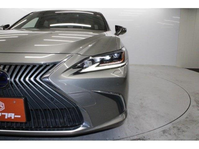 ���Ǝҗl�ւ̔̔��͂��f�肳���Ă��������܂��B �Ԍ������ԗ��̏ꍇ�́A�Ԍ����擾�������x�������z�ŕ\�����Ă���܂��B