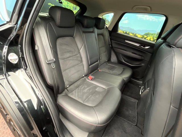 �㕔���Ȃ��C�ɂȂ�悤�ȃL�Y�E�����ւ��蓙�A�傫�ȃ_���[�W�͂Ȃ��A�ǍD�ȏ�Ԃł��B