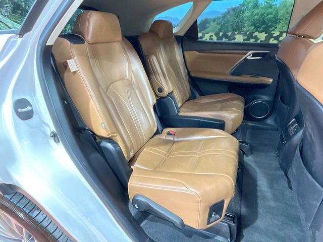 �㕔���Ȃ��C�ɂȂ�悤�ȃL�Y�E�����ւ��蓙�A�傫�ȃ_���[�W�͂Ȃ��A�ǍD�ȏ�Ԃł��B