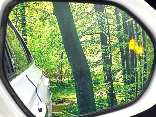 �y�u���C���h�X�|�b�g���j�^�[�z���s���A�h�A�~���[�̎��p�ɂȂ�₷���ӏ��Ɍ㑱�Ԃ��ڋ߂���ƃT�C�h�~���[�̃����Y�Ɍx����\��!�h���C�o�[�ɒ��ӊ��N�����Ă���܂��B