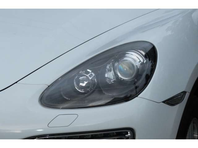 �w�b�h���C�g���Y��ł��B