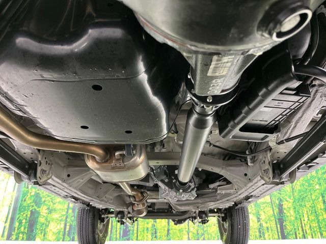 ����肪���ꂢ�Ȃ����ɁA�h�K���H�̎{�H���I�X�X���B�~��n��͂������A���ݕ��ɂ��Z���̕���A��Ń}�����E�E�B���^�[�X�|�[�c���������ɂ��D�]���������Ă���܂��B