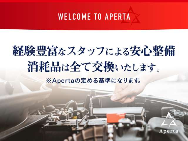 �v���̎�Ɉ˂肫�ߍׂ����������s���A���������Ƃ��낪����ΐ����m���f�œK�X������v���܂��B�G���W���@�ւ̓V�����_�[�w�b�h����s�X�g���܂Ŗ����ۏ؂̒��ɂ����ꂵ�Ă���A������̎��Ԃɂ������Ă���܂��B