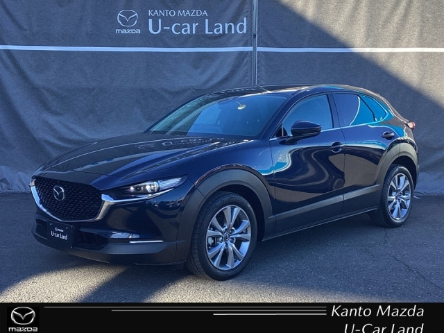 CX-301.8 XD プロアクティブ