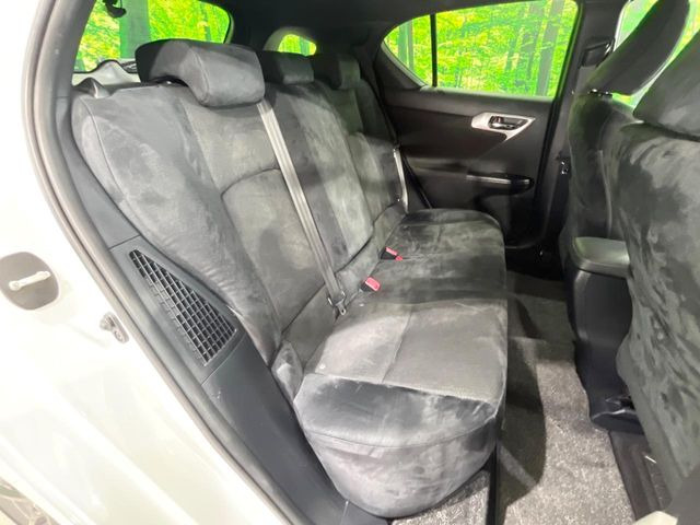 �㕔���Ȃ��C�ɂȂ�悤�ȃL�Y�E�����ւ��蓙�A�傫�ȃ_���[�W�͂Ȃ��A�ǍD�ȏ�Ԃł��B