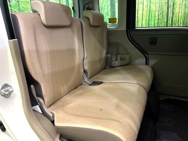 �㕔���Ȃ��C�ɂȂ�悤�ȃL�Y�E�����ւ��蓙�A�傫�ȃ_���[�W�͂Ȃ��A�ǍD�ȏ�Ԃł��B