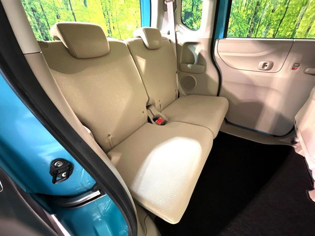 �㕔���Ȃ��C�ɂȂ�悤�ȃL�Y�E�����ւ��蓙�A�傫�ȃ_���[�W�͂Ȃ��A�ǍD�ȏ�Ԃł��B