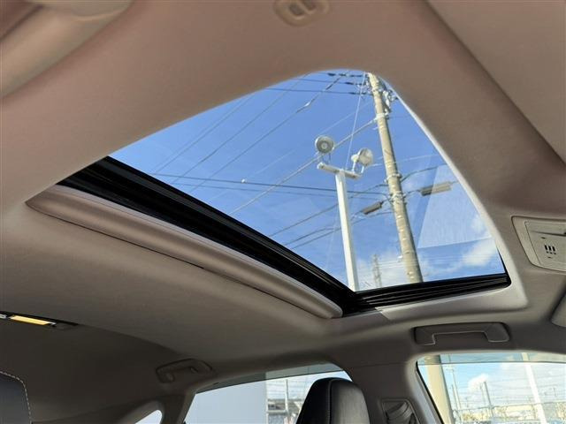 ������肪�����ĂȂ��Ȃ��C�ɓ��������Ԃ��Ȃ������̂��q�l!�S���̃I�[�N�V��������s�b�^����1���T�����Ƃ��\�ł��B���Ј�x���₢���킹���������B