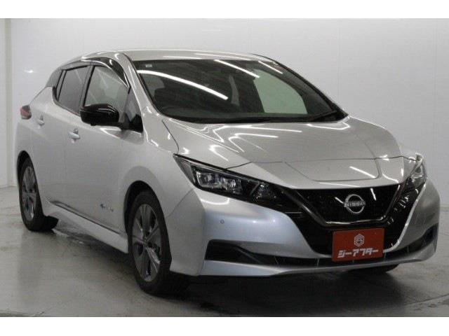 ���Ǝҗl�ւ̔̔��͂��f�肳���Ă��������܂��B �Ԍ������ԗ��̏ꍇ�́A�Ԍ����擾�������x�������z�ŕ\�����Ă���܂��B