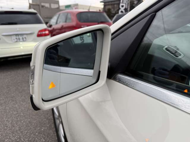 �u���C���h�X�|�b�g�A�V�X�g