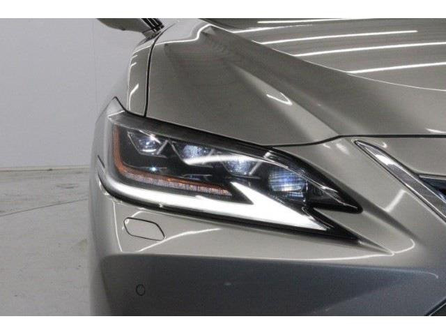 ���Ǝҗl�ւ̔̔��͂��f�肳���Ă��������܂��B �Ԍ������ԗ��̏ꍇ�́A�Ԍ����擾�������x�������z�ŕ\�����Ă���܂��B