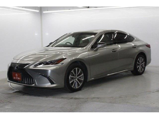 ���Ǝҗl�ւ̔̔��͂��f�肳���Ă��������܂��B �Ԍ������ԗ��̏ꍇ�́A�Ԍ����擾�������x�������z�ŕ\�����Ă���܂��B