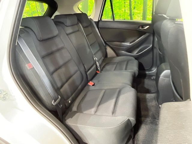 �㕔���Ȃ��C�ɂȂ�悤�ȏ��E�����ւ���ȂǁA�傫�ȃ_���[�W�͂Ȃ��A�ǍD�ȏ�Ԃł��B